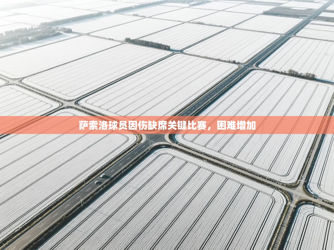 开云·体育app中国官方网站-萨索洛球员因伤缺席关键比赛,困难增加  第1张