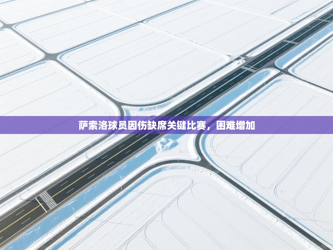 开云·体育app中国官方网站-萨索洛球员因伤缺席关键比赛,困难增加  第2张