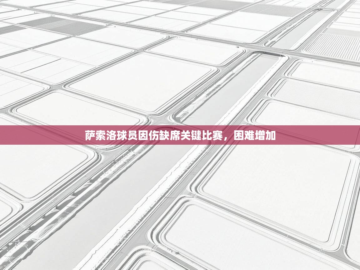 开云·体育app中国官方网站-萨索洛球员因伤缺席关键比赛,困难增加  第3张