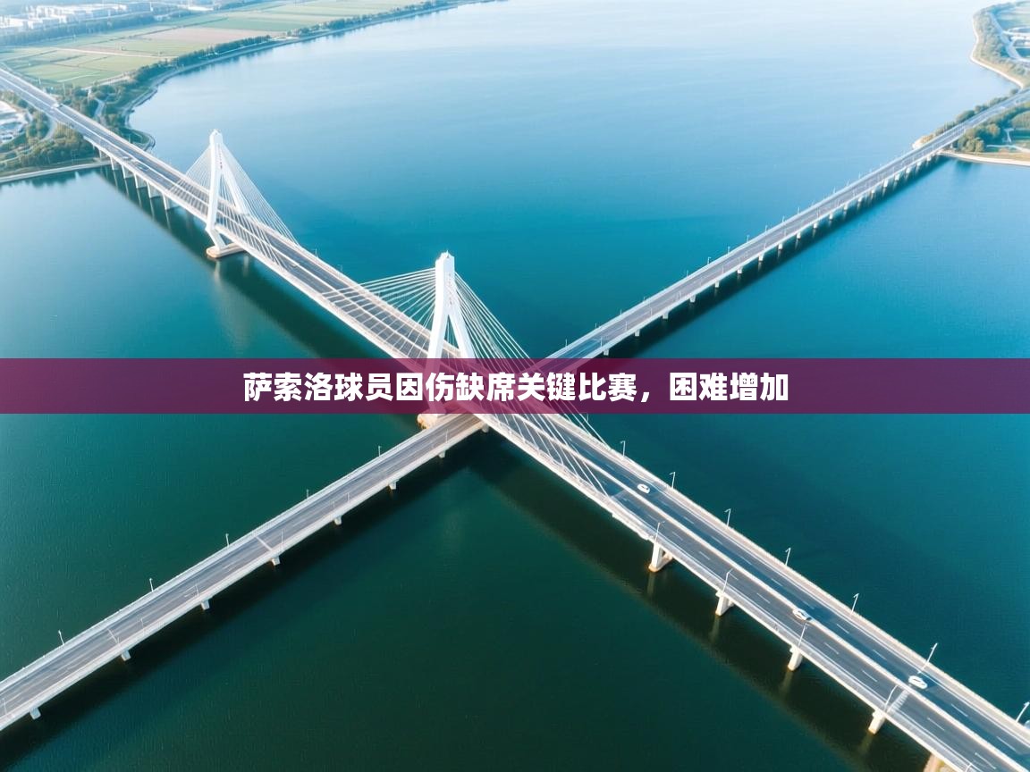 开云·体育app中国官方网站-萨索洛球员因伤缺席关键比赛,困难增加  第4张