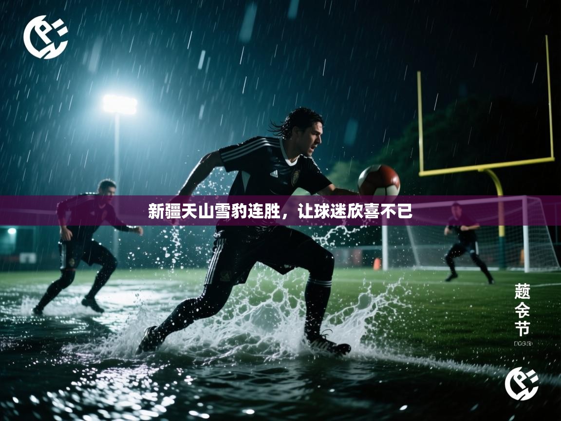 开云体育会员VIP开通-新疆天山雪豹连胜,让球迷欣喜不已 第1张