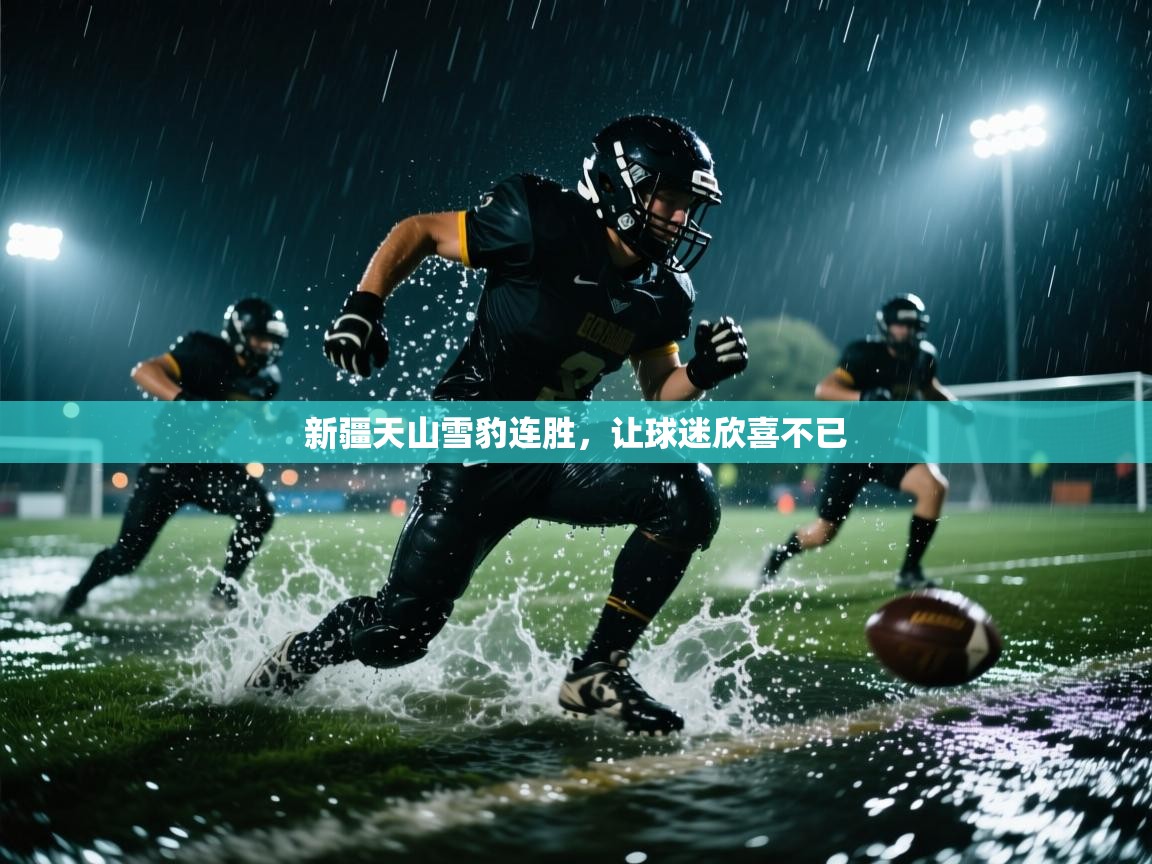 开云体育会员VIP开通-新疆天山雪豹连胜,让球迷欣喜不已 第3张