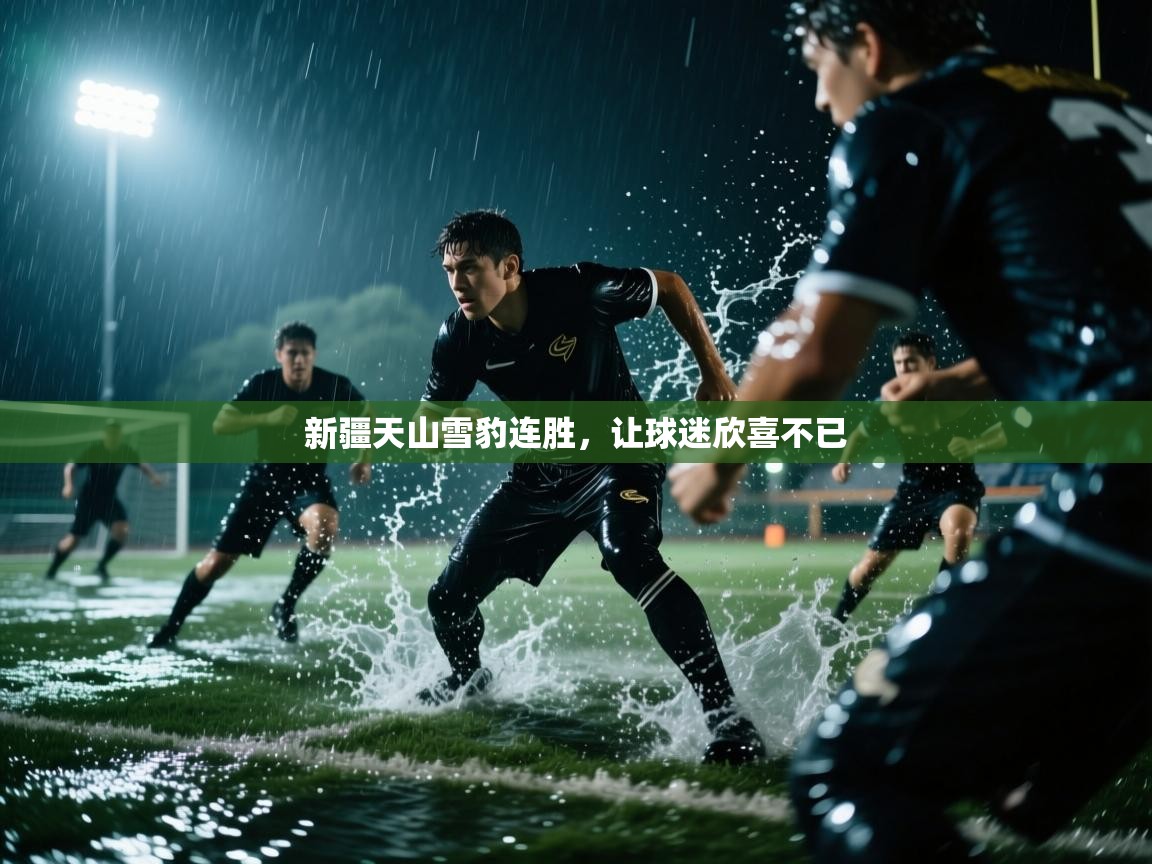 开云体育会员VIP开通-新疆天山雪豹连胜,让球迷欣喜不已 第2张
