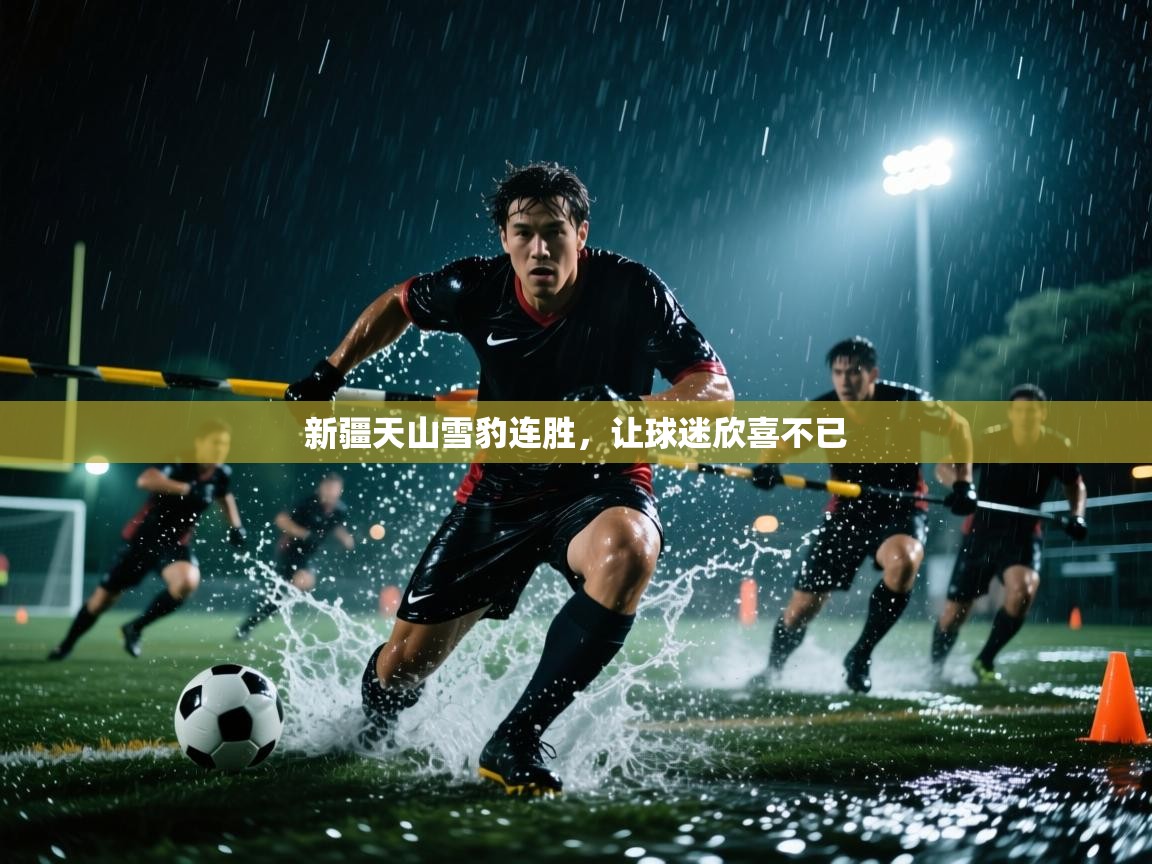 开云体育会员VIP开通-新疆天山雪豹连胜,让球迷欣喜不已 第4张