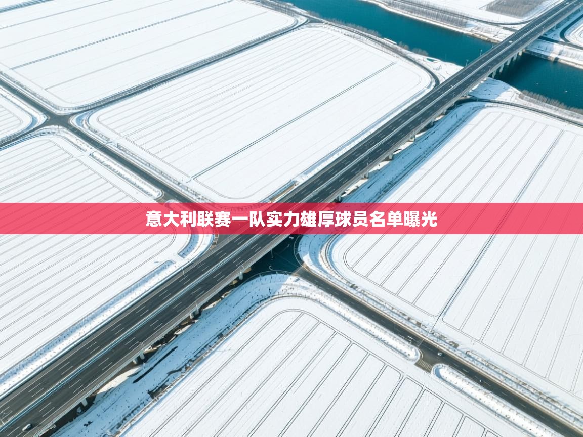 云开体育官方网站登录-意大利联赛一队实力雄厚球员名单曝光  第2张