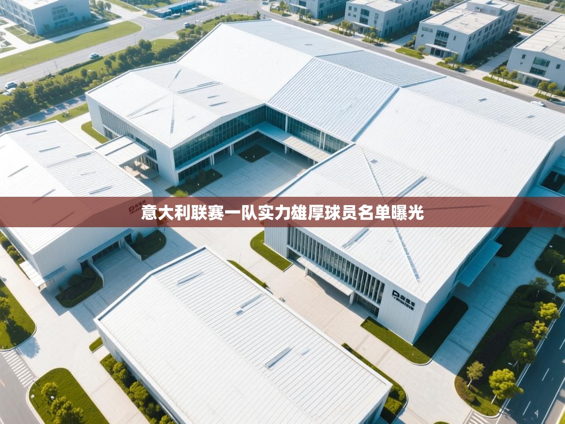 云开体育官方网站登录-意大利联赛一队实力雄厚球员名单曝光  第4张