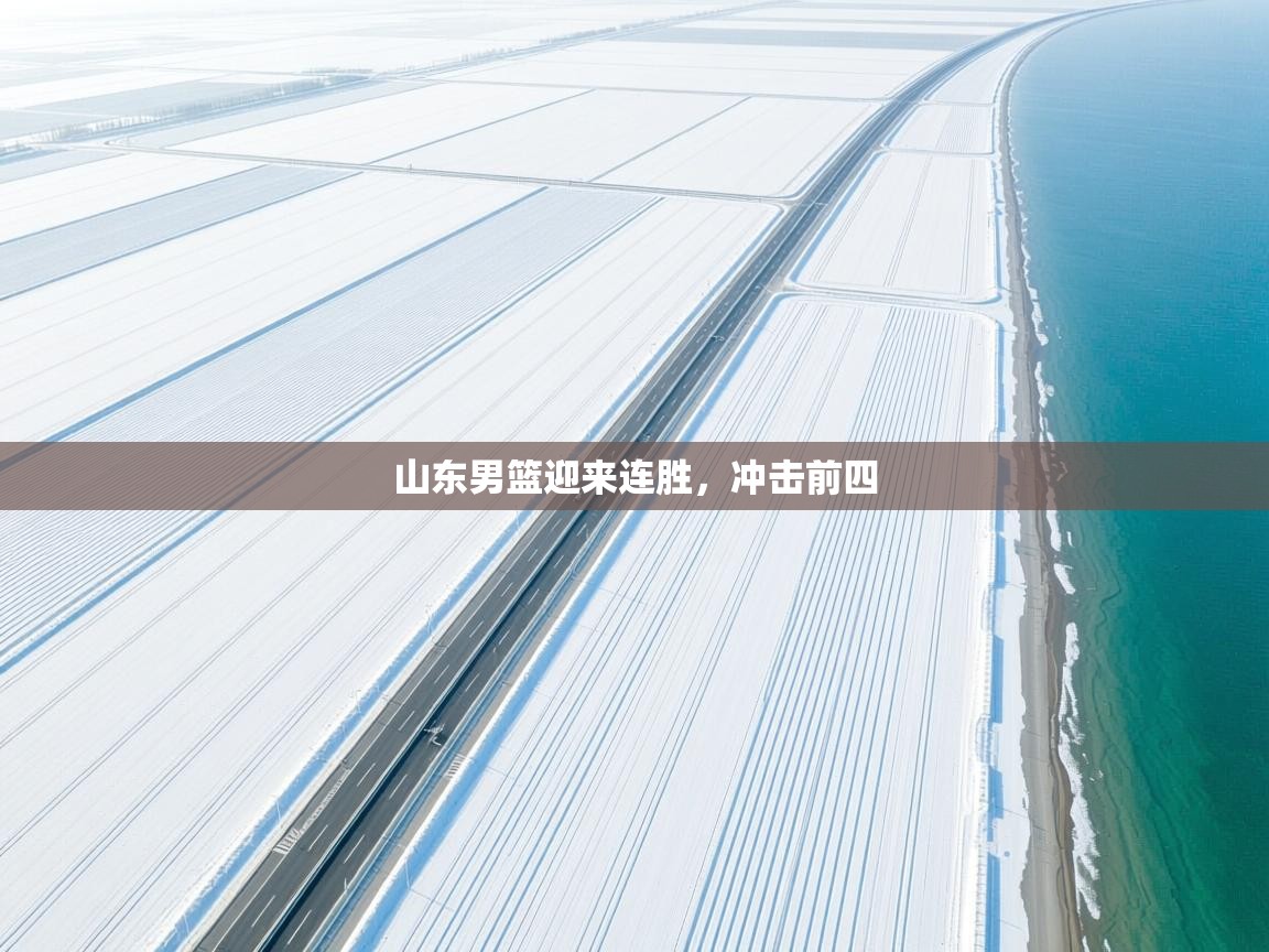 开云体育新人指引-山东男篮迎来连胜，冲击前四  第2张