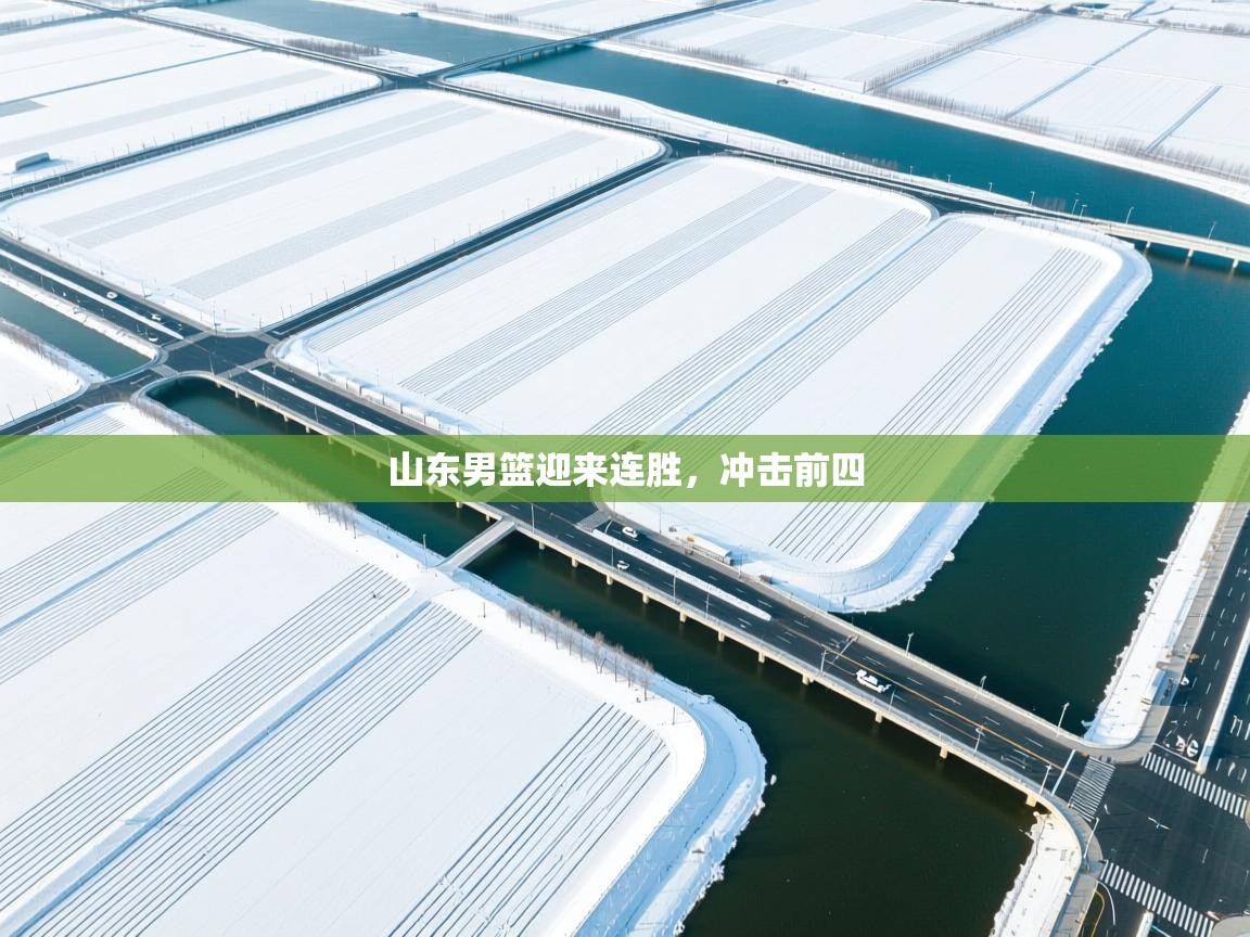 开云体育新人指引-山东男篮迎来连胜，冲击前四  第4张