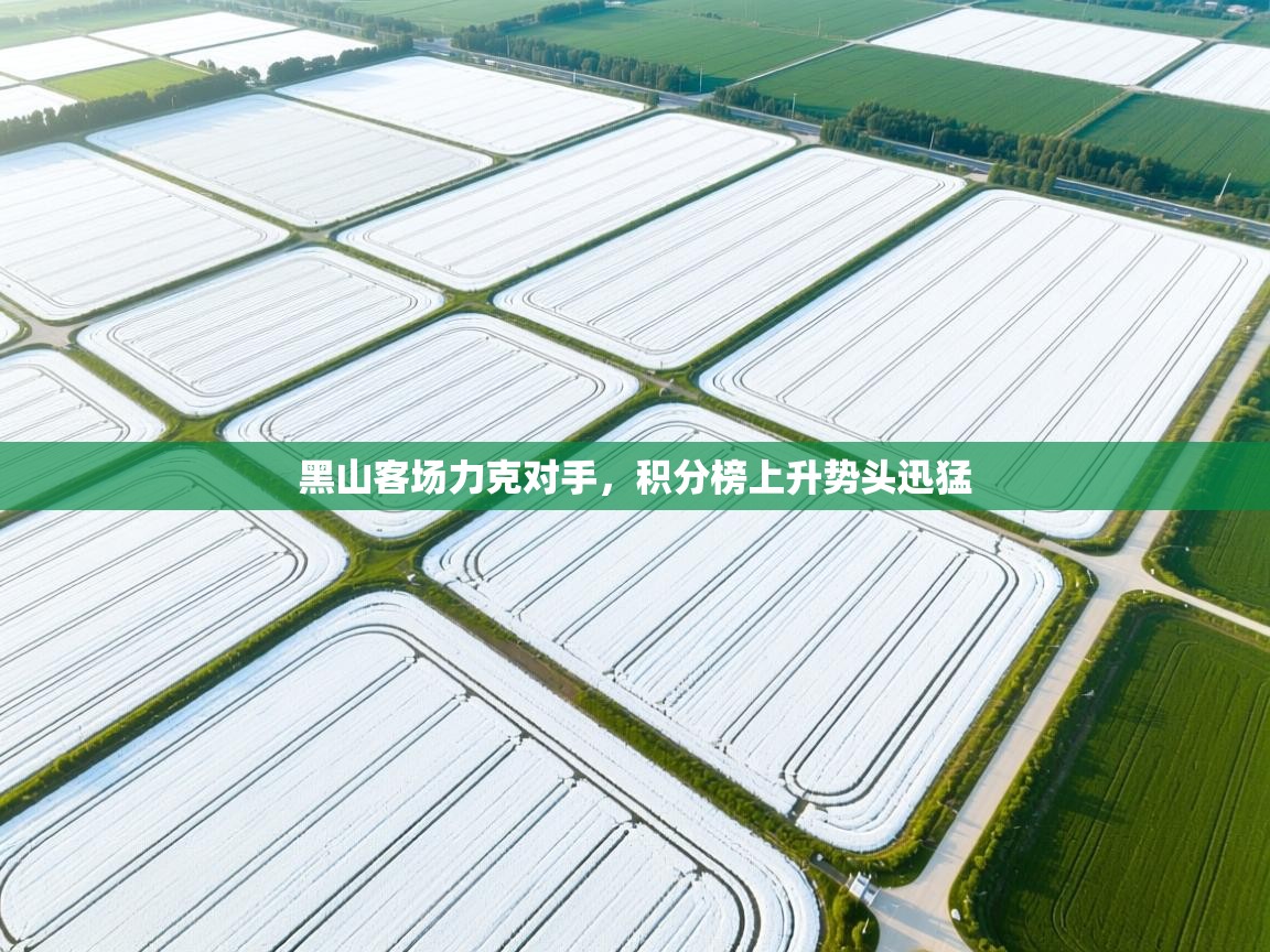 开云体育赛事比分直播-黑山客场力克对手，积分榜上升势头迅猛  第2张