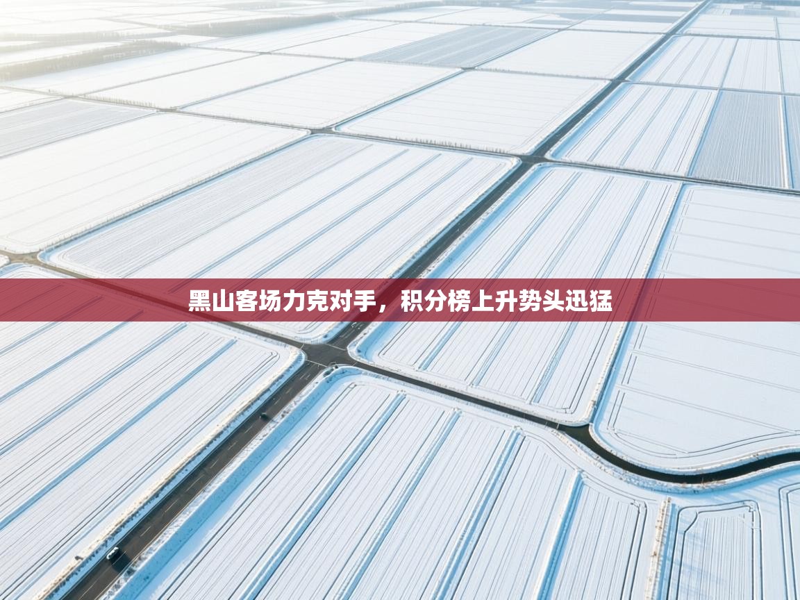 开云体育赛事比分直播-黑山客场力克对手，积分榜上升势头迅猛  第1张