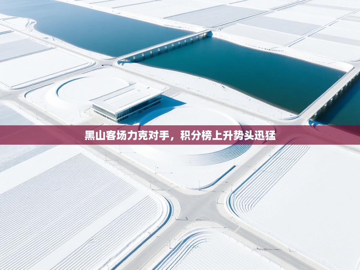 开云体育赛事比分直播-黑山客场力克对手，积分榜上升势头迅猛  第3张