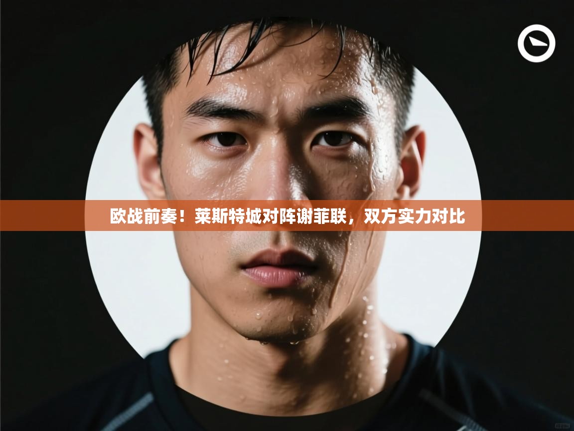 开云体育app下载入口-欧战前奏!莱斯特城对阵谢菲联,双方实力对比 第1张