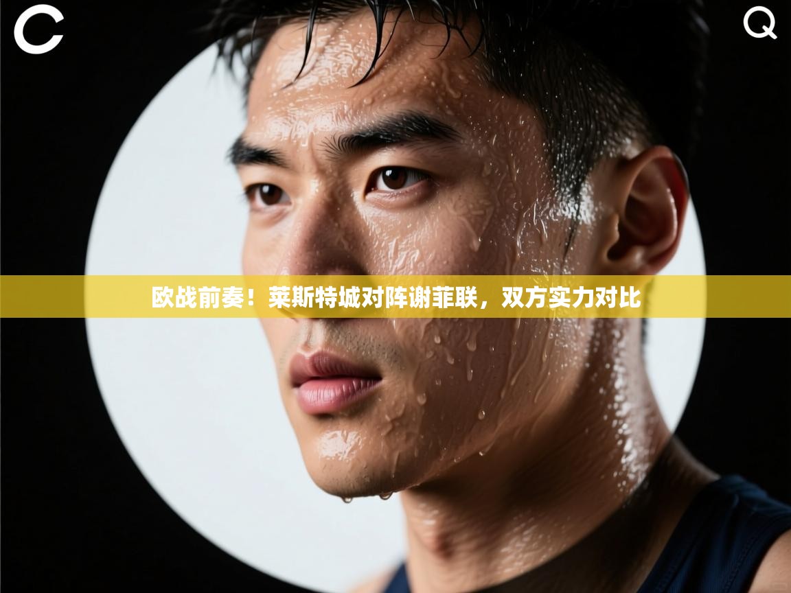 开云体育app下载入口-欧战前奏!莱斯特城对阵谢菲联,双方实力对比 第2张