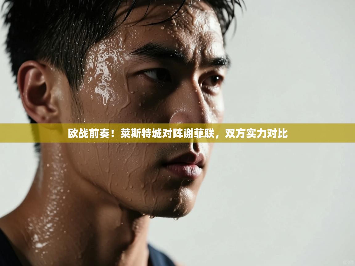 开云体育app下载入口-欧战前奏!莱斯特城对阵谢菲联,双方实力对比 第4张