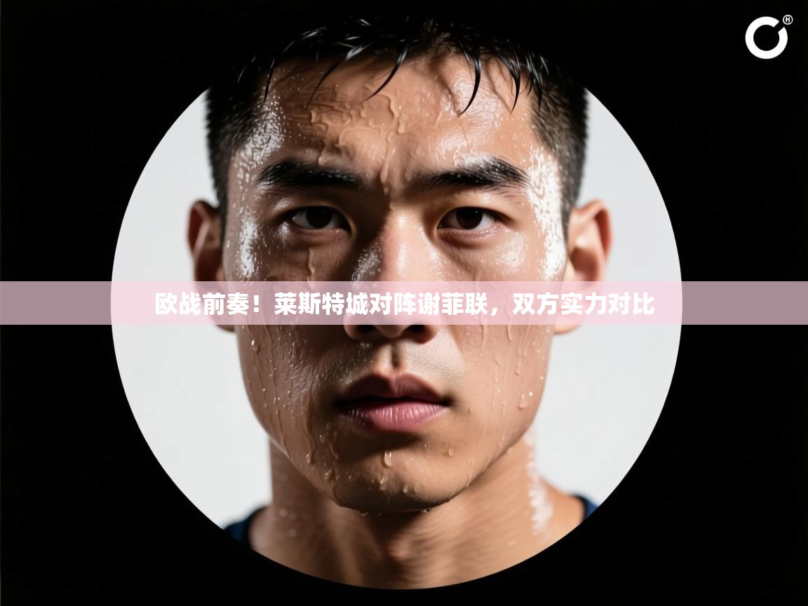 开云体育app下载入口-欧战前奏!莱斯特城对阵谢菲联,双方实力对比 第3张