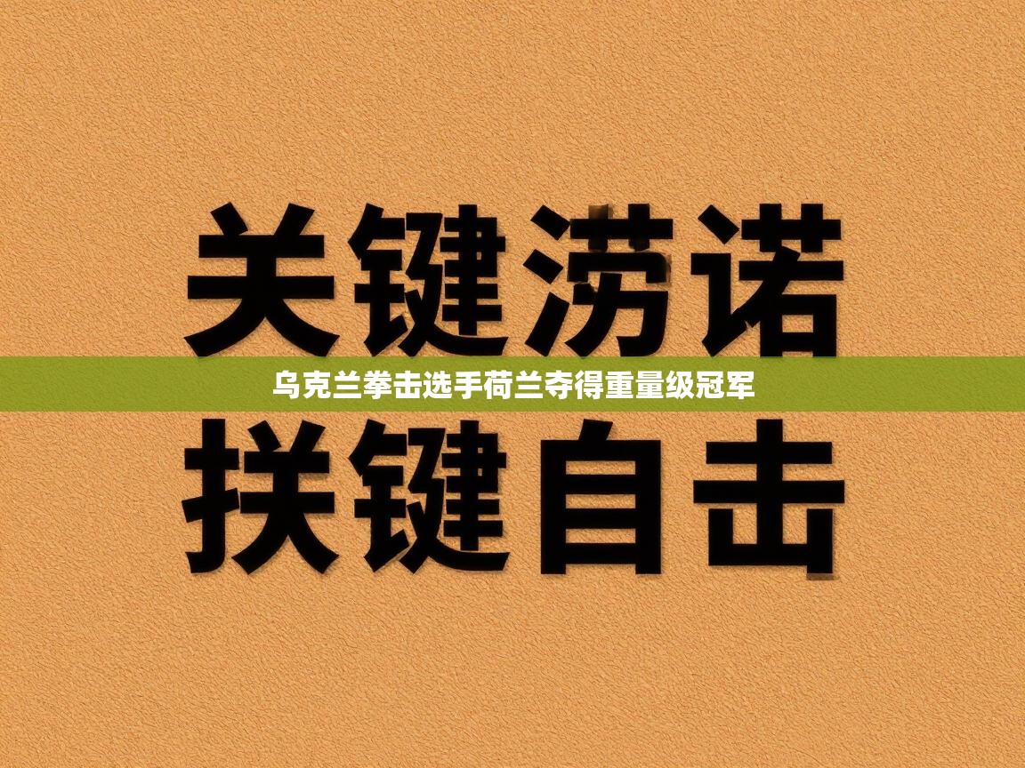开云体育安装失败怎么办-乌克兰拳击选手荷兰夺得重量级冠军 第2张