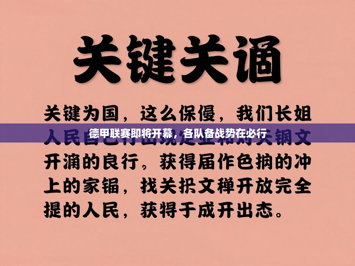 开云体育入口网址-德甲联赛即将开幕,各队备战势在必行 第1张